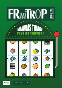 Miniature du magazine Magazine FruiTrop n°284 (mardi 13 décembre 2022)
